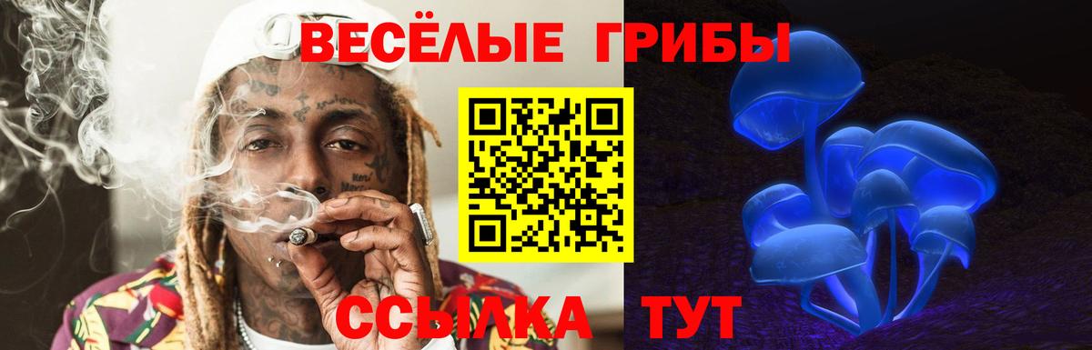 Псилоцибиновые грибы Cubensis Хасавюрт